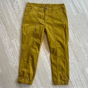 CAbi The Tracker Jogger Pants 5504 Marigold Yellow Snap Ankle Utility Size 14